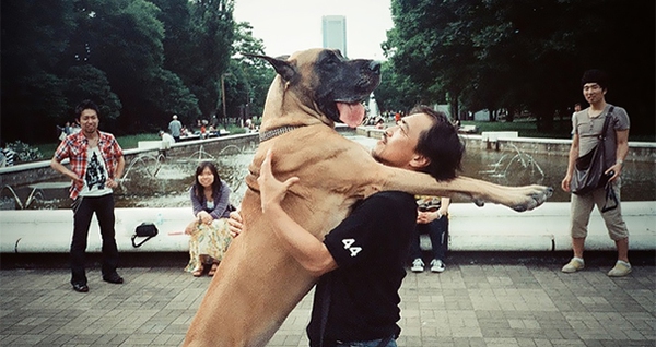 cute-dogs-hugging-humans-93-35caf.jpg