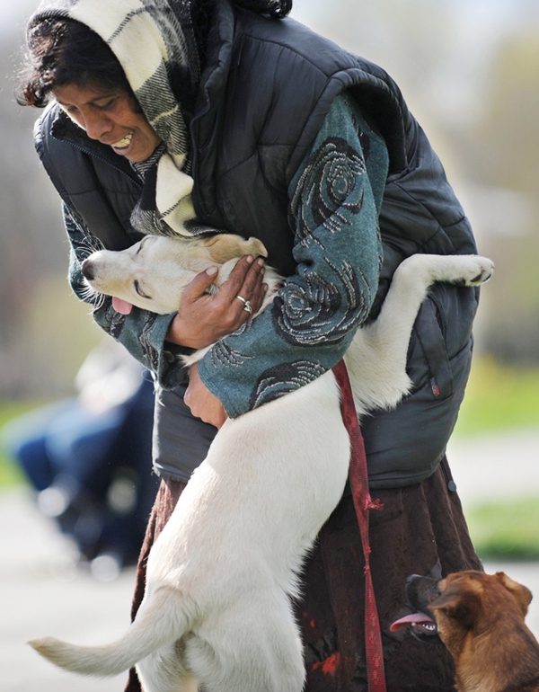 cute-dogs-hugging-humans-94-35caf.jpg