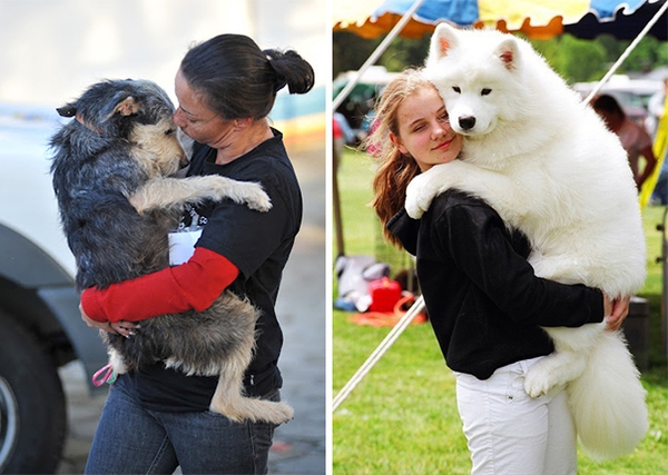 cute-dogs-hugging-humans-96-35caf.jpg