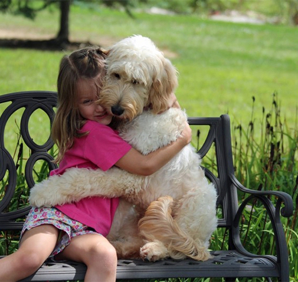 cute-dogs-hugging-humans-98-35caf.jpg