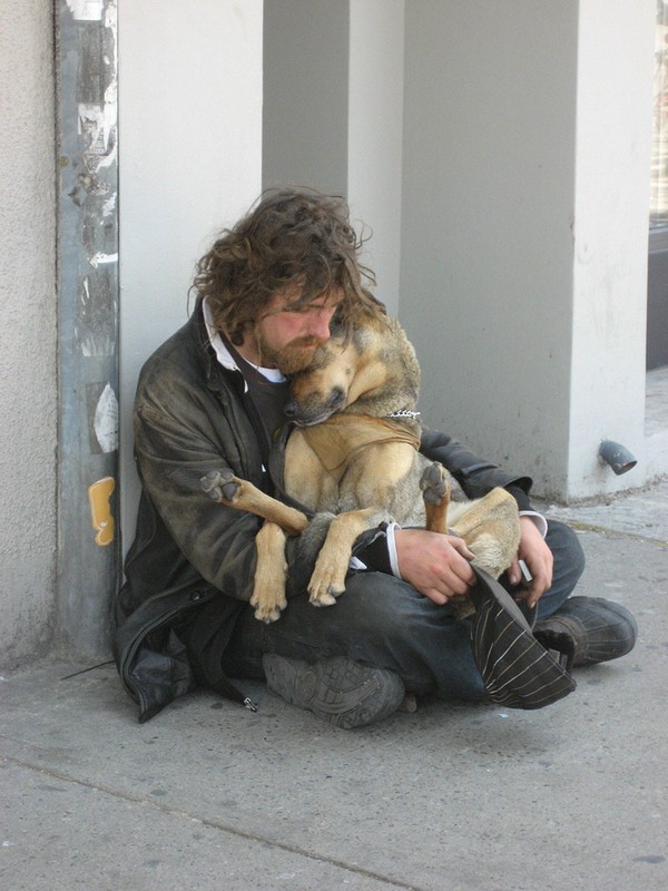 homeless-dogs-and-owners-1-8c121.jpg