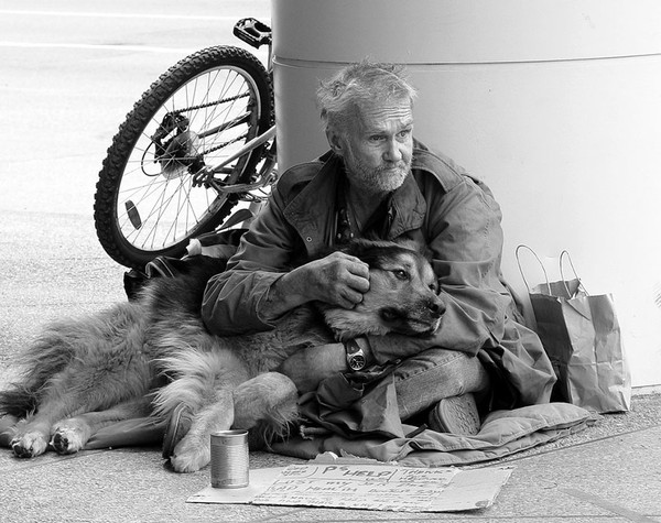 homeless-dogs-and-owners-16-8c121.jpg