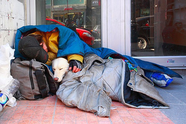 homeless-dogs-and-owners-2-8c121.jpg