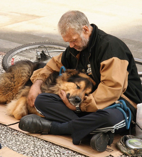 homeless-dogs-and-owners-32-8c121.jpg