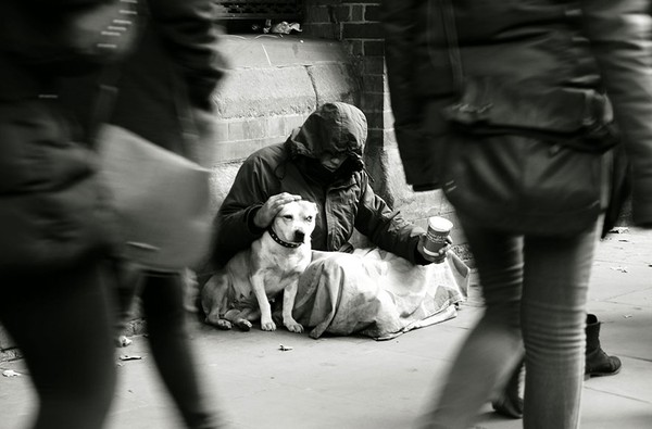 homeless-dogs-and-owners-6-8c121.jpg