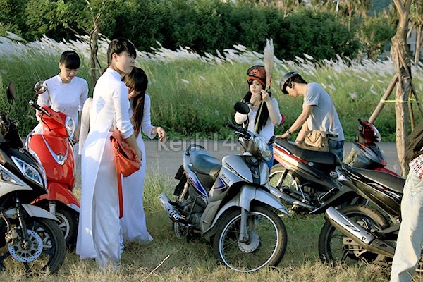 Giới trẻ Đà Nẵng mê tít chụp hình với hoa cỏ lau 3