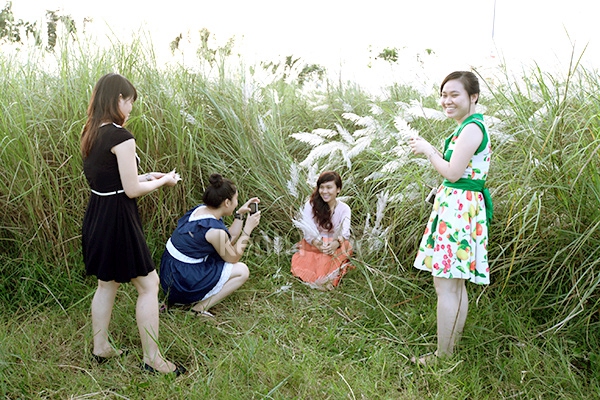 Giới trẻ Đà Nẵng mê tít chụp hình với hoa cỏ lau 21