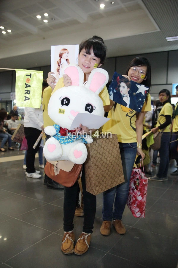 Fan T-Ara mang gấu bông tới sân bay chờ tặng thần tượng 7