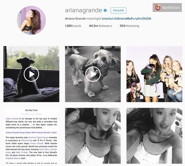 untitledariana-3e202