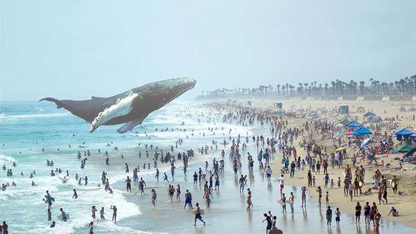 magic-leap-0292a