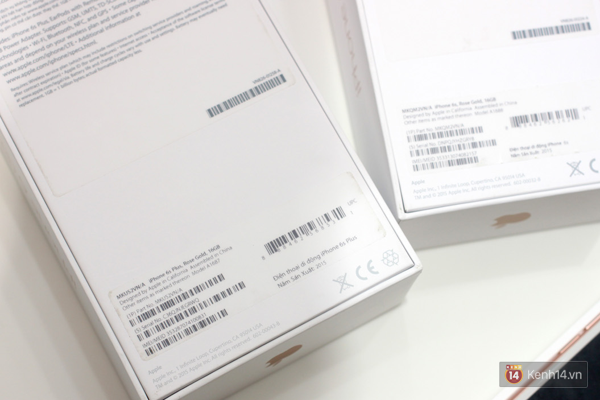 ip1-e818a