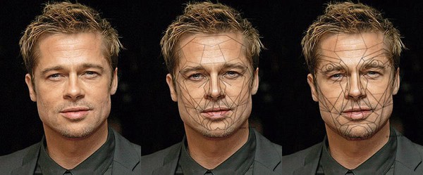 brad_pitt_triptych-dd887.jpg