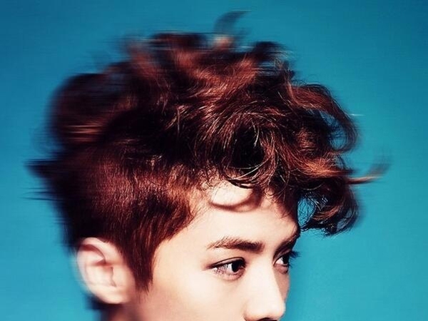 EXO-hair-7-d4bde