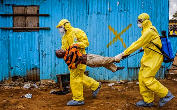 Tìm hiểu về cấu tạo virus ebola và an toàn