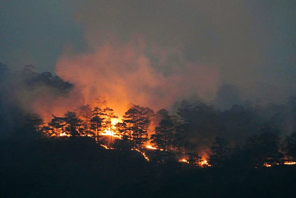 Mỹ Cháy rừng lan nhanh tại bang California 2500 cơ sở hạ tầng bị đe doạ   Đài Phát thanh và Truyền hình Long An