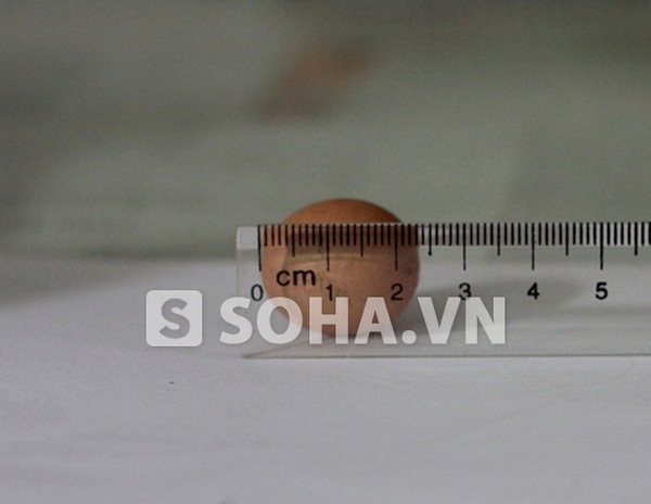 H&agrave; Nội: Kỳ lạ g&agrave; đẻ trứng b&eacute; như đầu ng&oacute;n tay  1