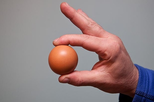 Quả trứng "tròn hoàn hảo" có tỷ lệ 1/1 tỷ xuất hiện ở Anh 1