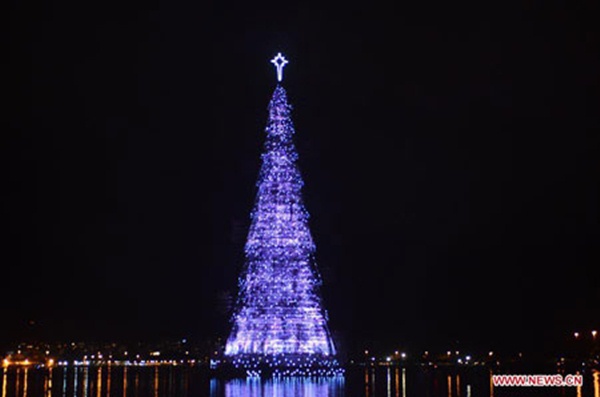 Những cây thông Noel "độc" nhất năm 2012 9