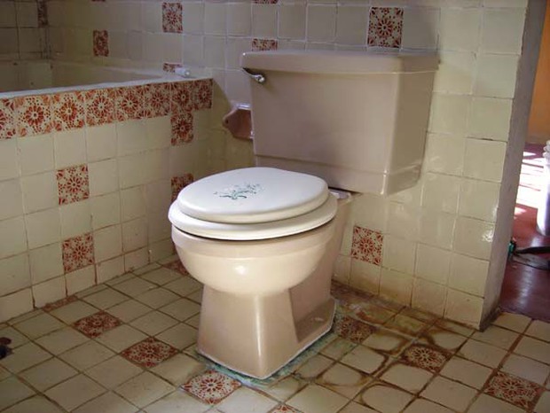 Vứt giấy vệ sinh vào thùng rác hay bồn cầu? Vứt giấy vệ sinh vào thùng rác hay bồn cầu