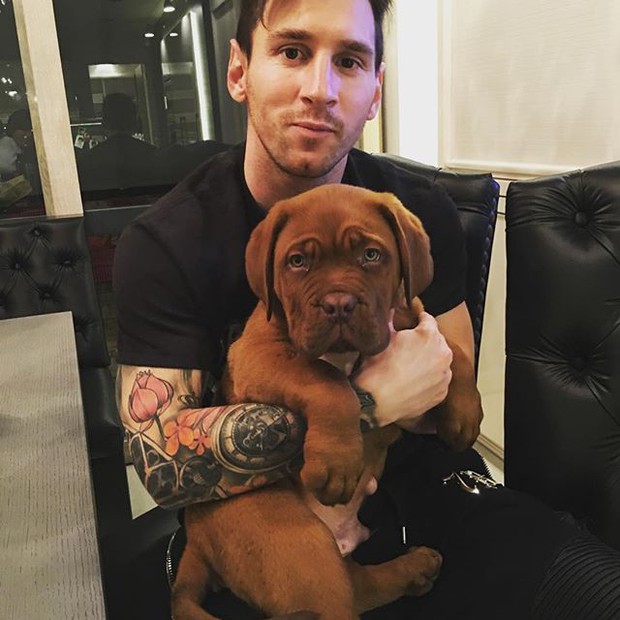 Messi leisurely relaxes with his giant pet dog - Photo 2.