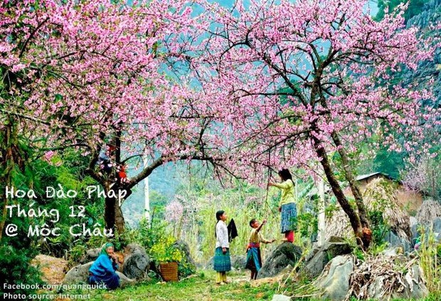 Hãy xem bộ ảnh này để thấy Việt Nam mình có những mùa lúa, mùa hoa thật đẹp! - Ảnh 26.