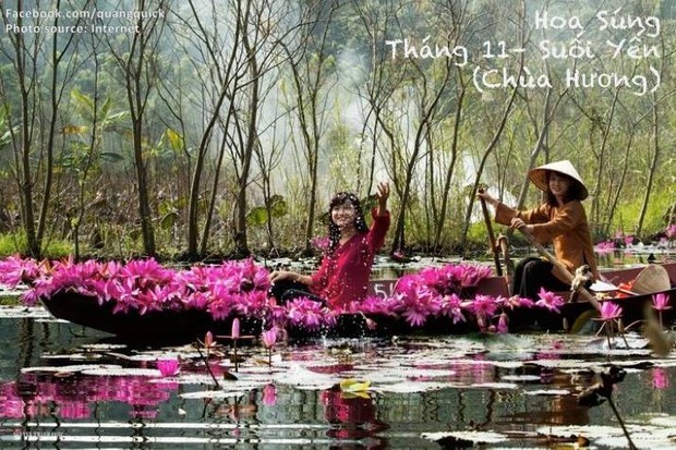 Hãy xem bộ ảnh này để thấy Việt Nam mình có những mùa lúa, mùa hoa thật đẹp! - Ảnh 29.