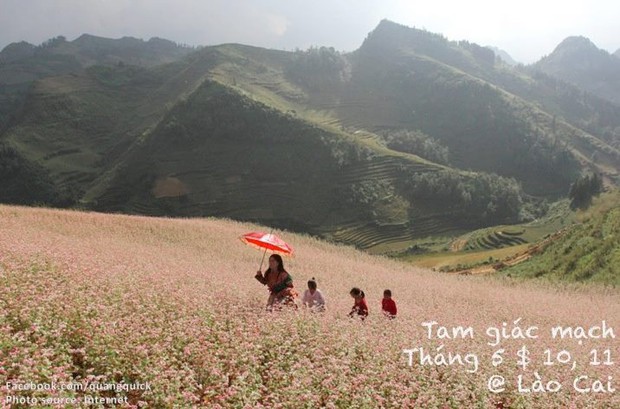 Hãy xem bộ ảnh này để thấy Việt Nam mình có những mùa lúa, mùa hoa thật đẹp! - Ảnh 30.