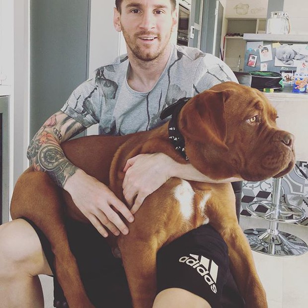 Messi leisurely relaxes with his giant pet dog - Photo 3.