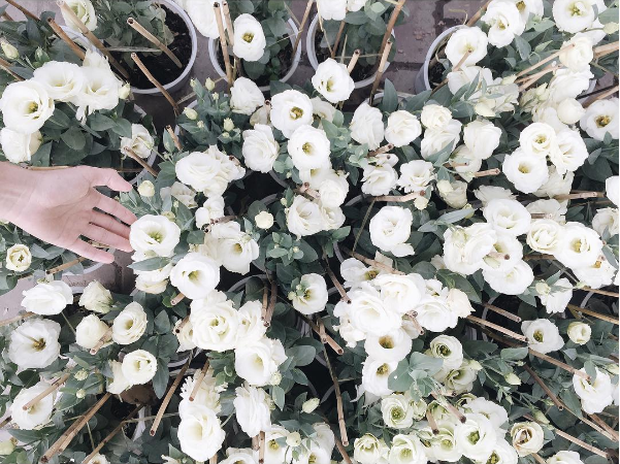 Lê Huỳnh Thành Danh - ông hoàng màu A6 VSCO cực nổi trên Instagram - Ảnh 17.