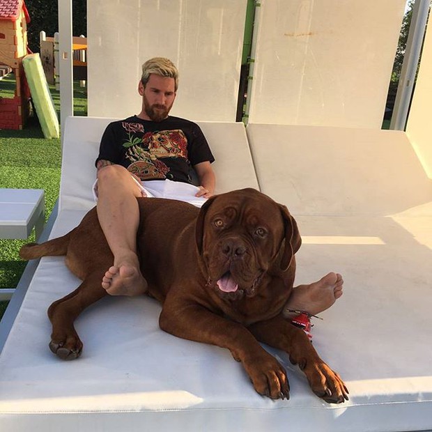 Messi leisurely relaxes with his giant pet dog - Photo 1.