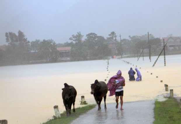Chùm ảnh: Những hình ảnh nhói lòng về mưa lũ kinh hoàng ở miền Trung - Ảnh 19.