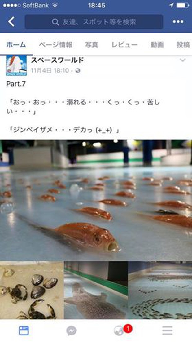 Công viên Nhật Bản gây phẫn nộ vì chôn 5.000 con cá sống dưới sân trượt băng - Ảnh 3.