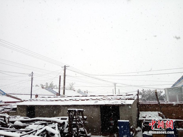 Trung Quốc: Những trận tuyết đầu mùa đẹp đến nao lòng - Ảnh 15.