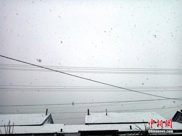 Trung Quốc: Những trận tuyết đầu mùa đẹp đến nao lòng - Ảnh 19.