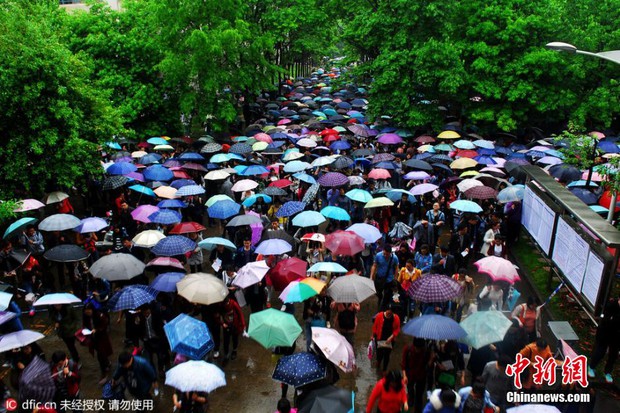 Trung Quốc: Hơn 100.000 thí sinh đội mưa đi thi tuyển công chức - Ảnh 5.