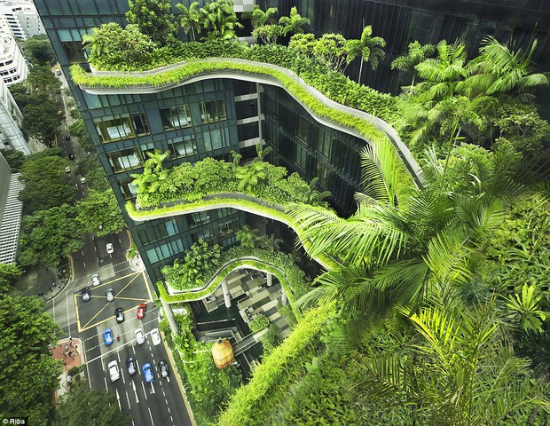 Ngắm nhìn 30 công trình đẹp nhất thế giới, trong đó có nhà trẻ xanh tại Việt Nam - Ảnh 3.