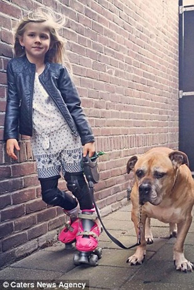 Giây phút vĩnh biệt đầy xúc động của cô bé 6 tuổi với chú chó mù và điếc - Ảnh 4.