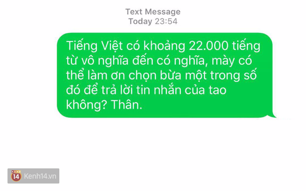 1001 câu để đối phó với những người nhắn tin mãi không thèm trả lời - Ảnh 9.