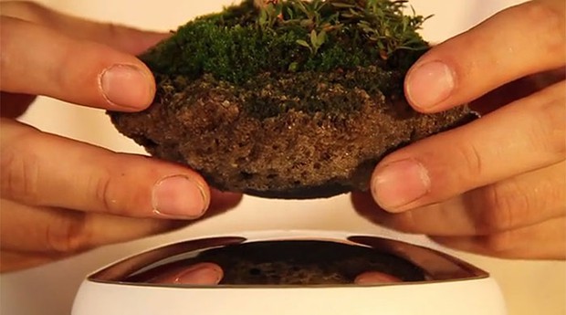 Cây bonsai bay giữa không trung ảo diệu như có phép thuật - Ảnh 4.