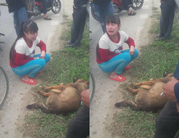 Cô gái trẻ khóc bên chú chó bị xe tải tông chết trên đường ngày cuối năm khiến nhiều người thương cảm - Ảnh 1.
