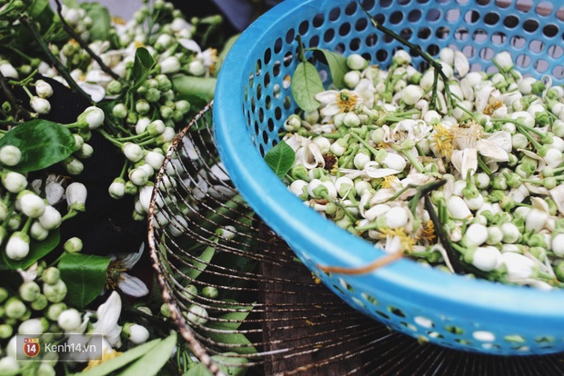 Hà Nội tháng 3, có hương hoa bưởi thoang thoảng thơm trong gió... - Ảnh 4.