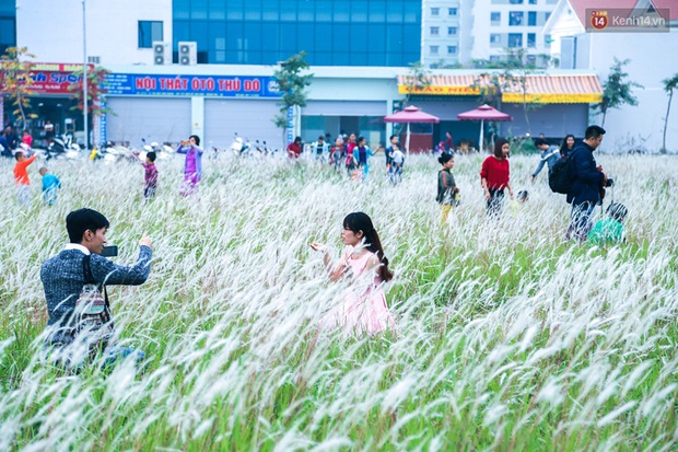 Dịp cuối tuần, người dân háo hức chụp ảnh với hoa cỏ lau giữa lòng Hà Nội - Ảnh 3.