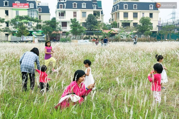 Dịp cuối tuần, người dân háo hức chụp ảnh với hoa cỏ lau giữa lòng Hà Nội - Ảnh 7.