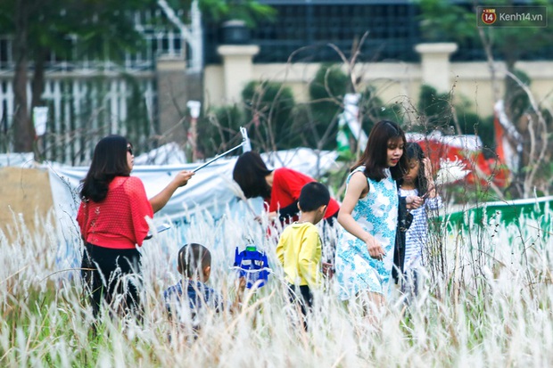 Dịp cuối tuần, người dân háo hức chụp ảnh với hoa cỏ lau giữa lòng Hà Nội - Ảnh 9.