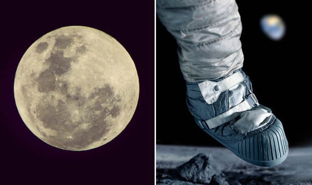 Con người sẽ sống trên Mặt trăng vào năm 2030 - Ảnh 1.