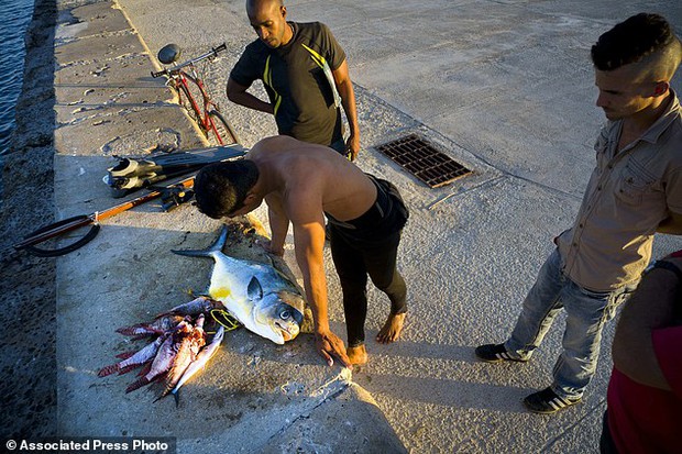 Trào lưu câu cá bằng bao cao su ở Cuba - Ảnh 9.