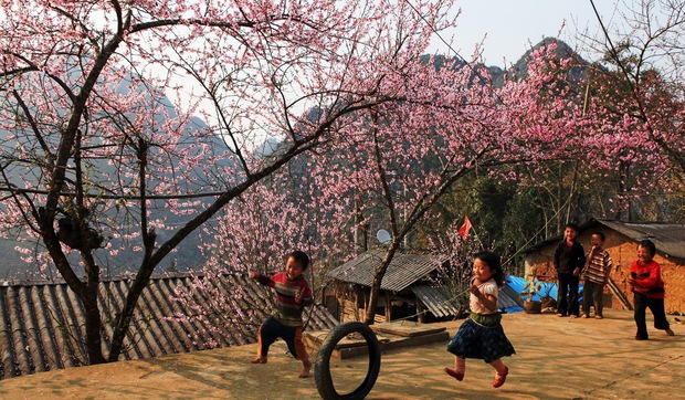 Bạn có biết: Nơi nào ở miền Bắc có những mùa hoa đẹp nhất năm 2015? - Ảnh 9.