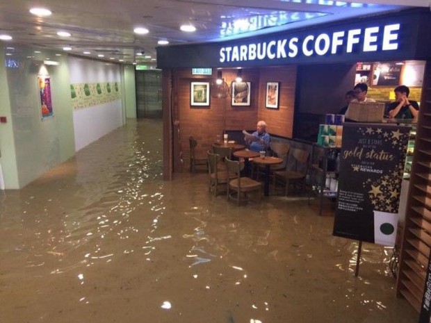 Ông chú Starbucks: Nước lũ có ngập tới rốn thì vẫn phải đọc xong tờ báo đã - Ảnh 1.