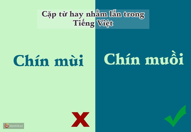 10 cặp từ ai cũng hay bị lẫn lộn trong Tiếng Việt - Ảnh 4.