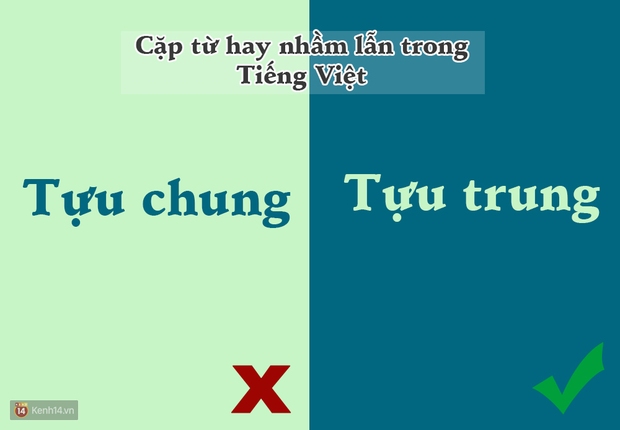 10 cặp từ ai cũng hay bị lẫn lộn trong Tiếng Việt - Ảnh 5.